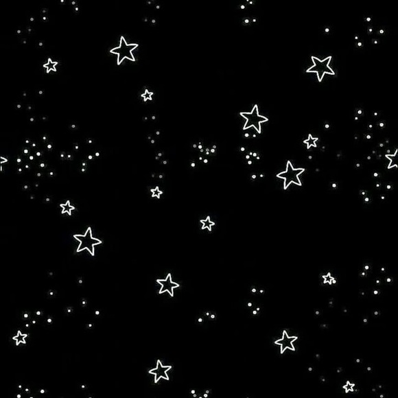 Meet your Posher, Daphne - Picture 1 of 1